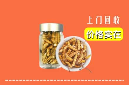收购资讯:海东民和县回收散虫草
